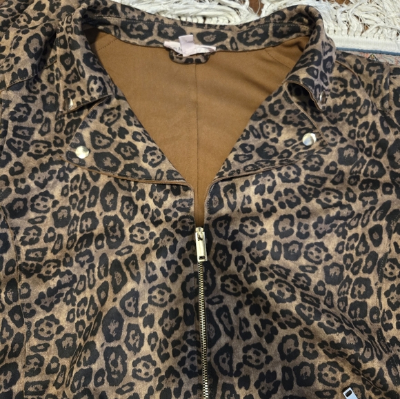 Jacket - Picture 2 of 2